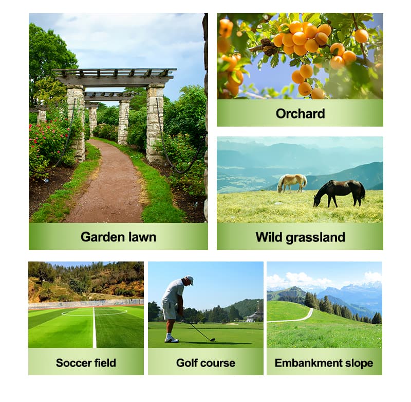 AWY-550 con pala Sonw