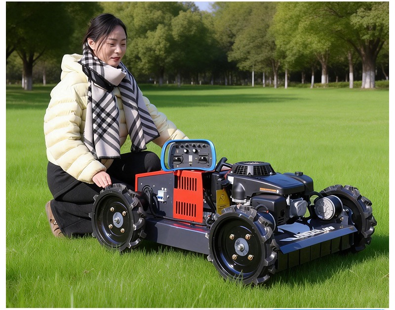 صورة جزازة عشب بعجلات AWY-500W.jpg