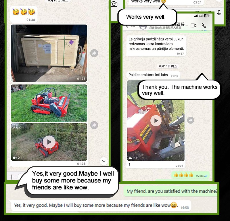 Diesel-Schlegelmäher AMY 800-SM.jpg