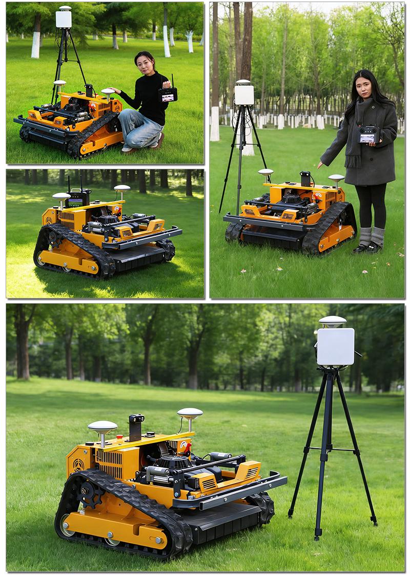 Landwirtschaftliche Geräte Rasenmäher AWY-550.jpg