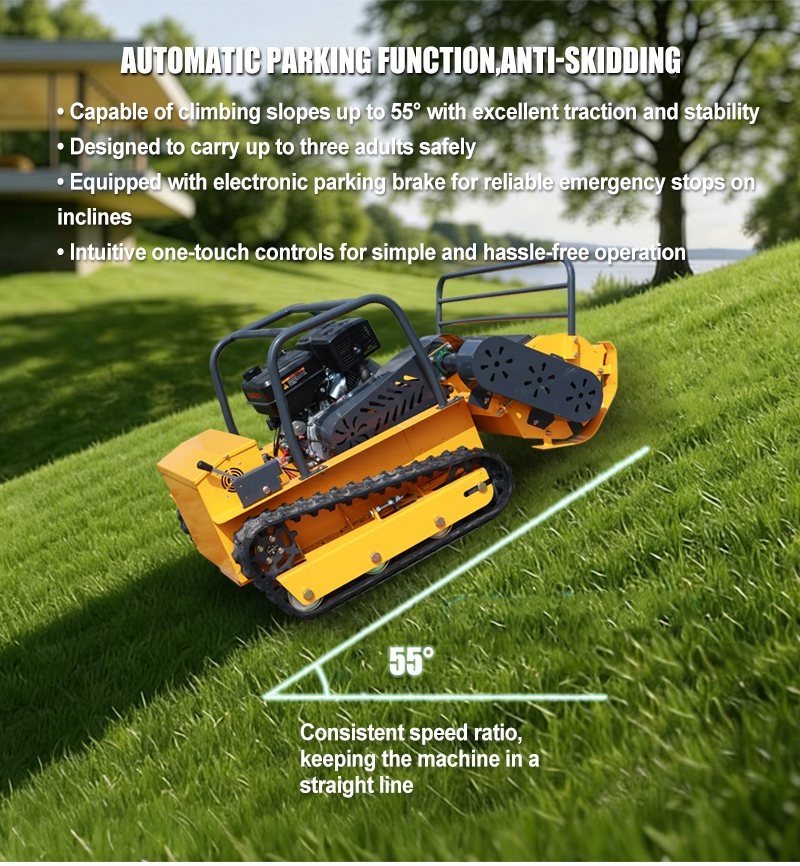 Cortacésped RC AWY-1000S.jpg