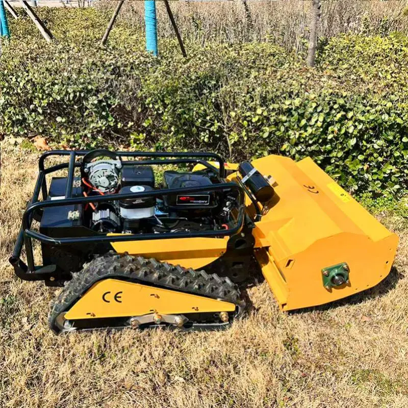 tondeuse à gazon.jpg