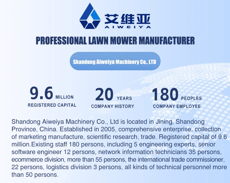 Schlegelmäher AWY-1000S Pro.jpg