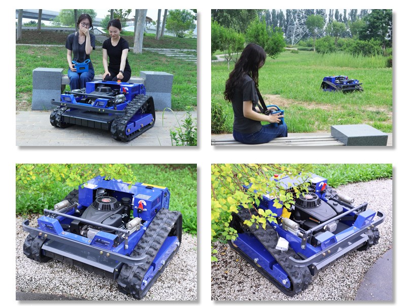 Residential Lawn Mower AWY-550.jpg