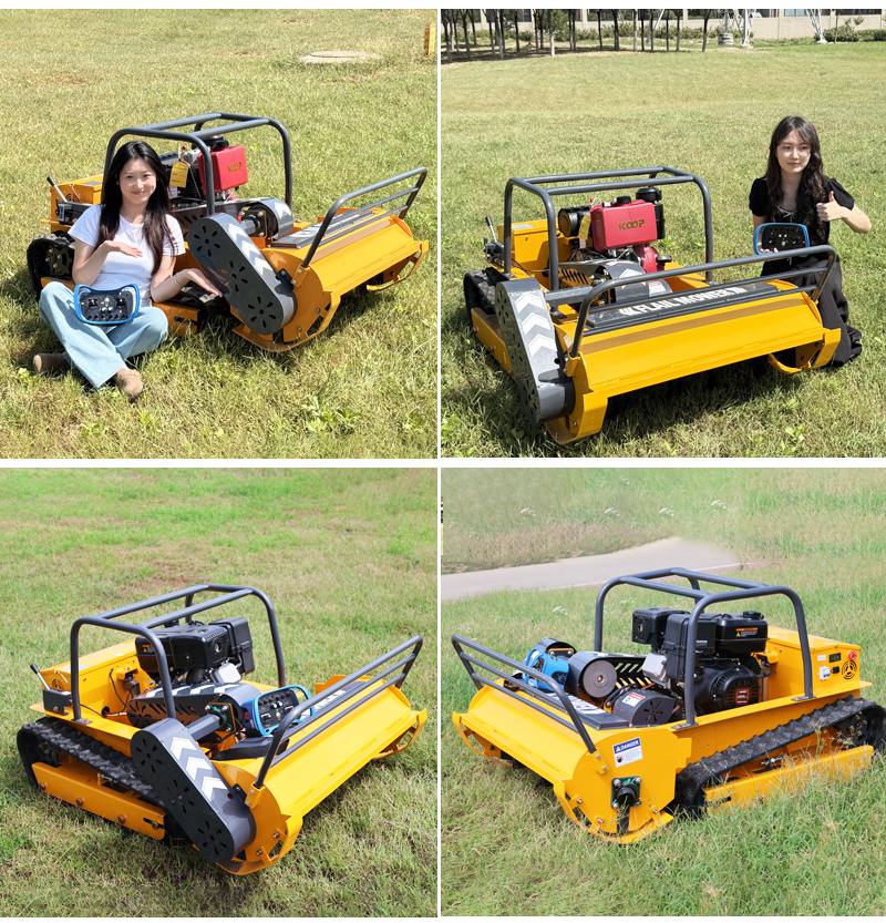 جزازة العشب الموفرة للوقود AWY-1000S.jpg