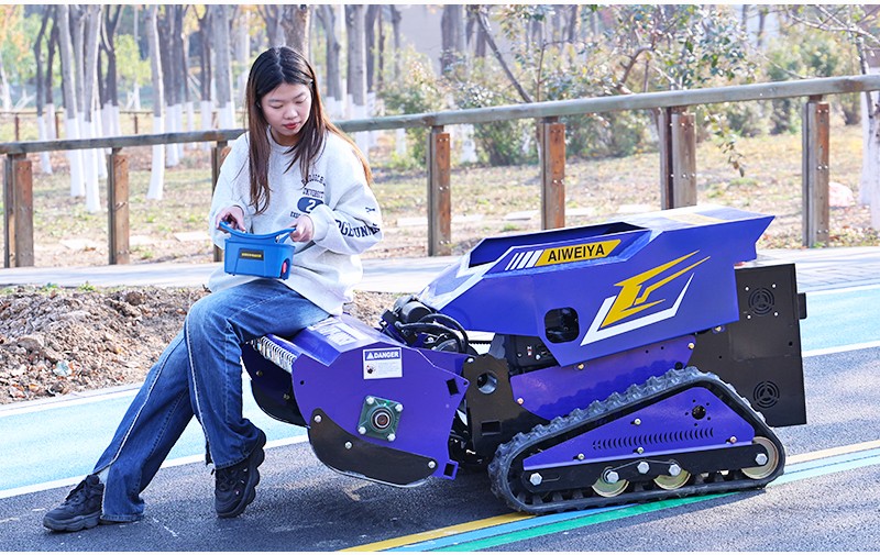 صورة جزازة العشب ذات المِذباب AWY 1000SM.jpg