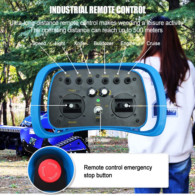 Diesel-Schlegelmäher AMY 800-SM.jpg