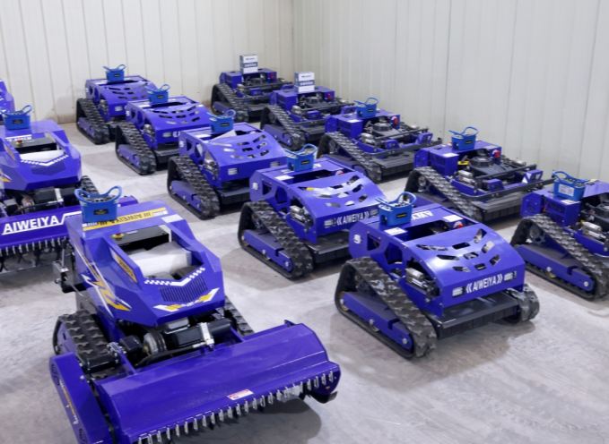 1767600995335741.jpg 4_kopia.jpg