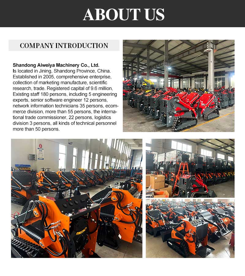 Ładowarka samojezdna