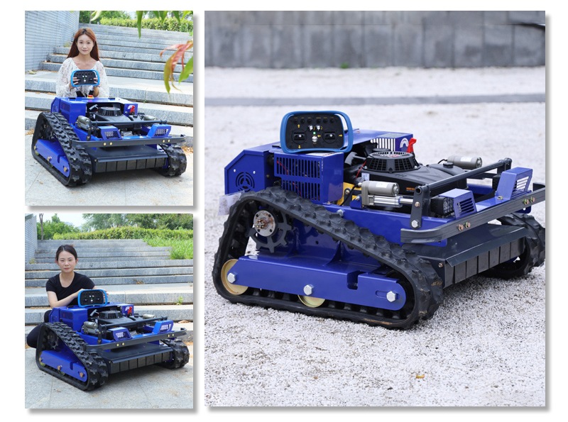 Low Profile Lawn Mower AWY-550.jpg