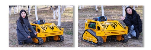 Kosiarka do trawyAWY-550S.jpg