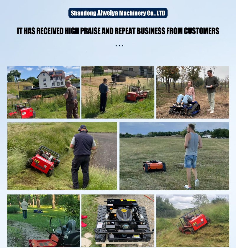 صورة جزازة عشب للمنزل والحديقة والمزرعة الصغيرة.jpg