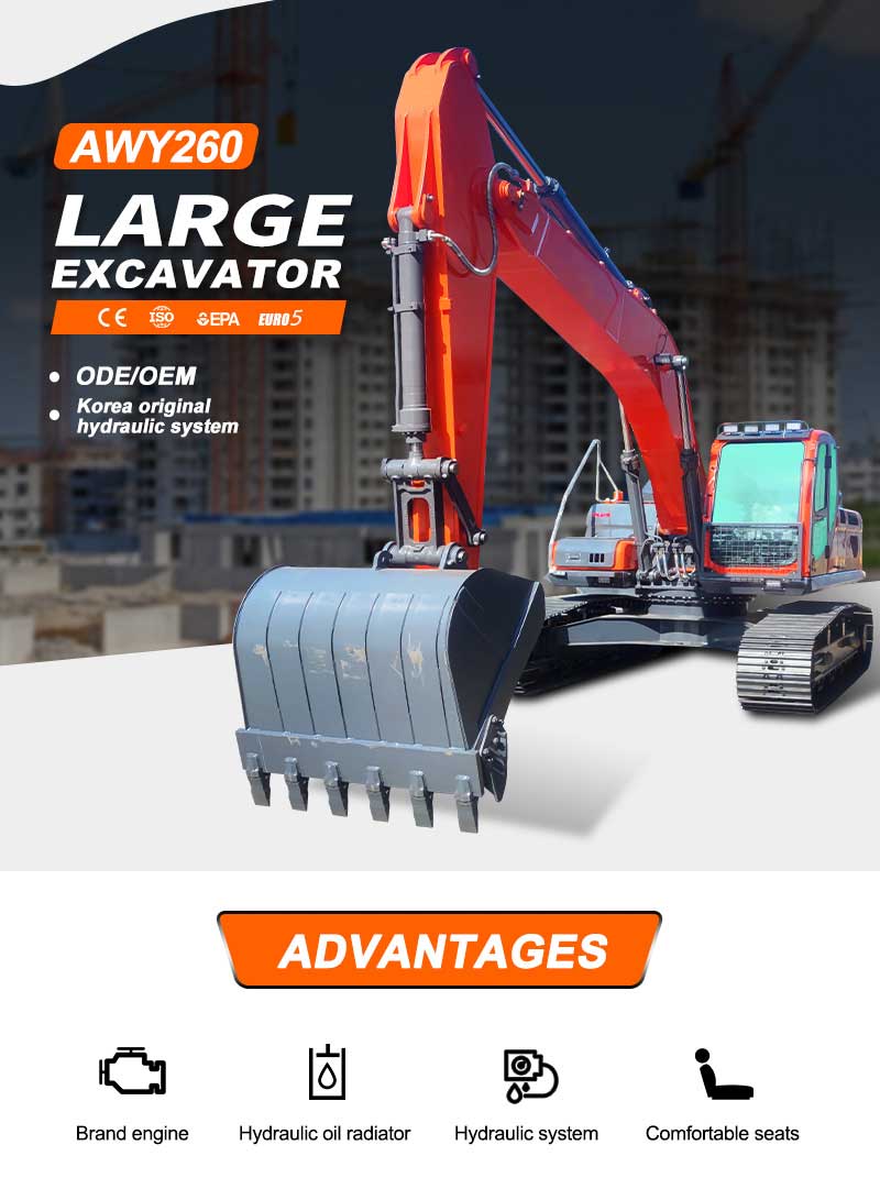 Escavatore da 25 tonnellate