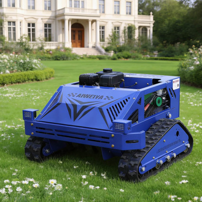 Unkrauttrimmer AWY-550S