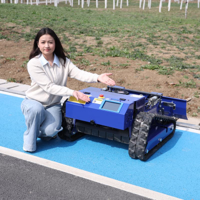 Rasaerba Smart Display AWY-550