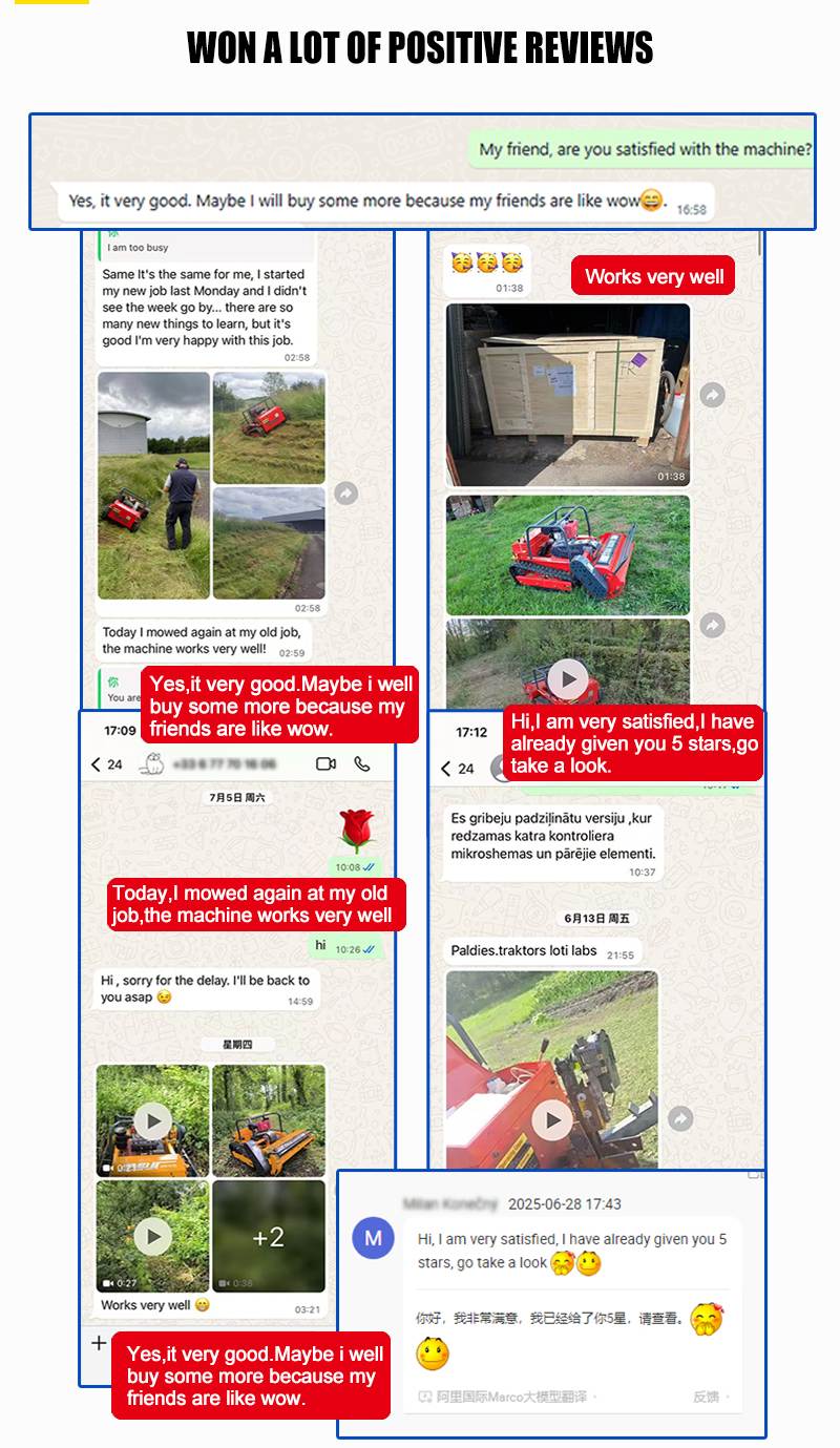 صورة جزازة العشب ذات المروحية AWY 1000SM.jpg