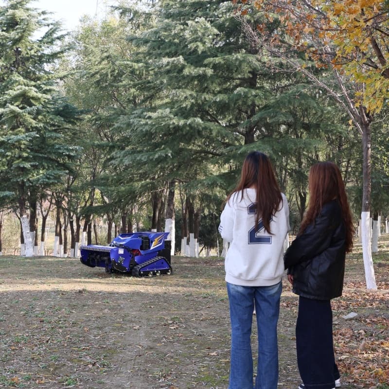 Diesel-Schlegelmäher AMY 800-SM