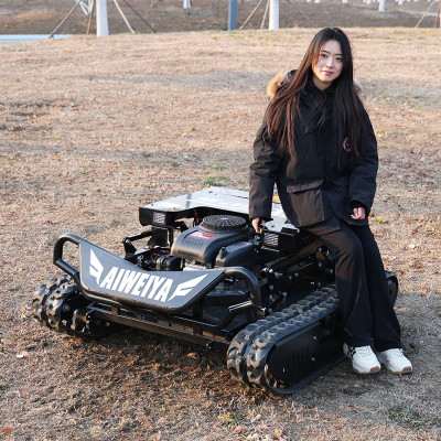 Bester Rasenmäher AWY-900