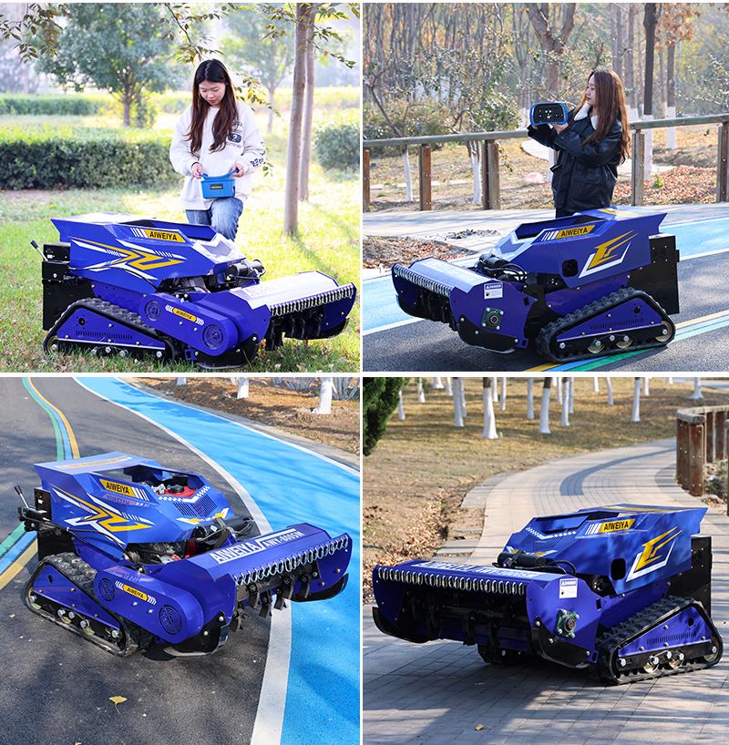 Diesel-Schlegelmäher AMY 800-SM.jpg