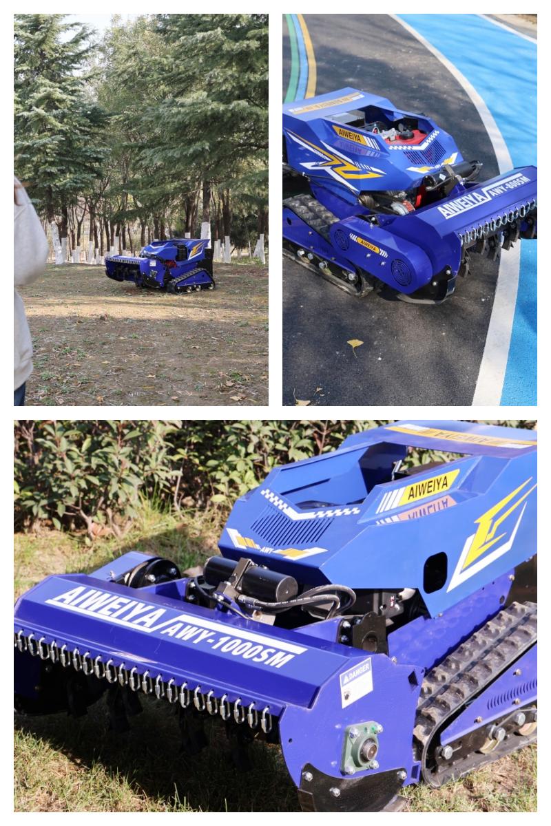 صورة جزازة العشب ذات المِذباب AWY 1000SM.jpg