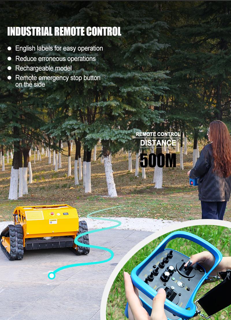 Газонокосилка Top Lawn Mower AWY-550H.jpg