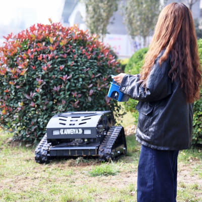 Außen-Grastrimmer AWY-550H