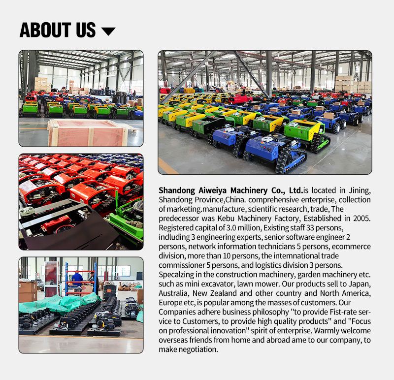 Nouvelle tondeuse à gazon à quatre roues motrices pour usage agricole.jpg