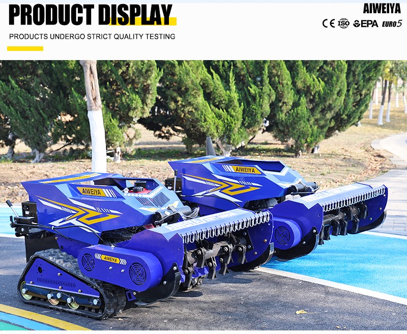 Diesel-Schlegelmäher AMY 800-SM.jpg