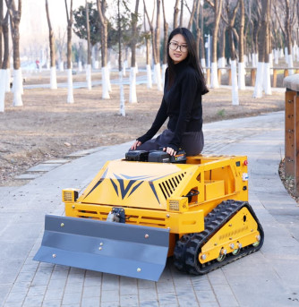 Schlegelmäher AWY-500S