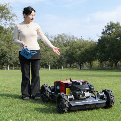 Wheel-Type Lawn Mower AWY-550W