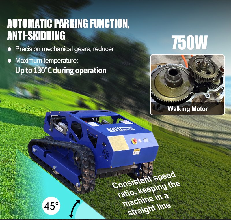 Газонокосилка Top Lawn Mower AWY-550H.jpg