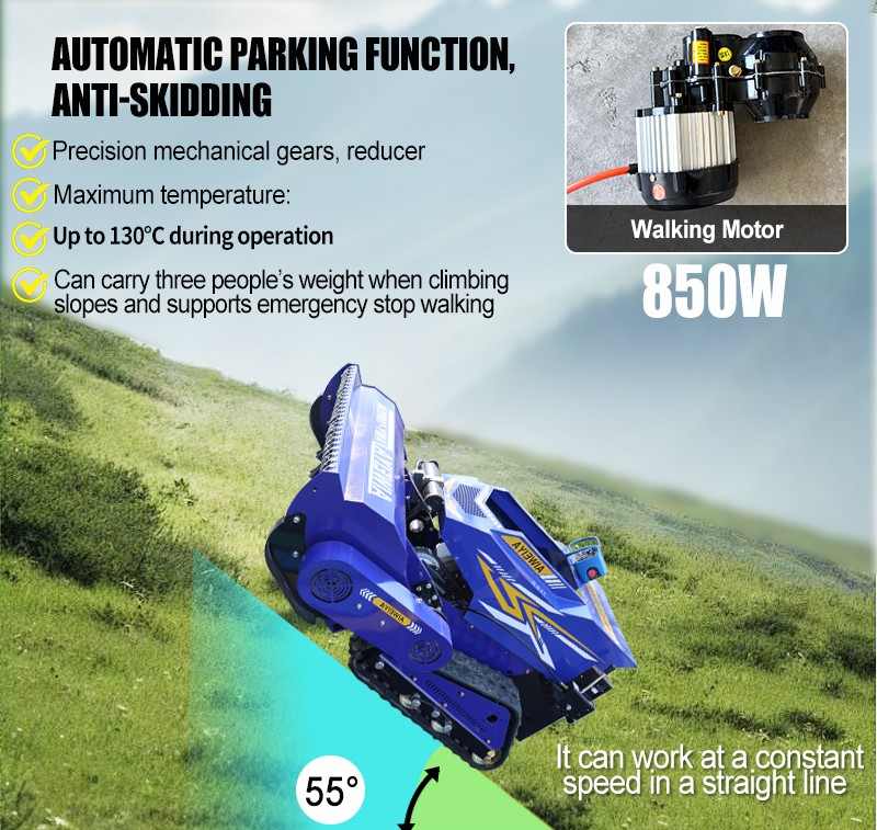 Diesel-Schlegelmäher AMY 800-SM.jpg