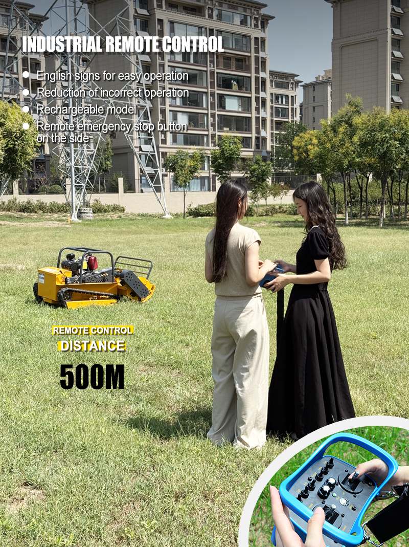 Self-propelled Lawn Mower AWY 1000S .jpg