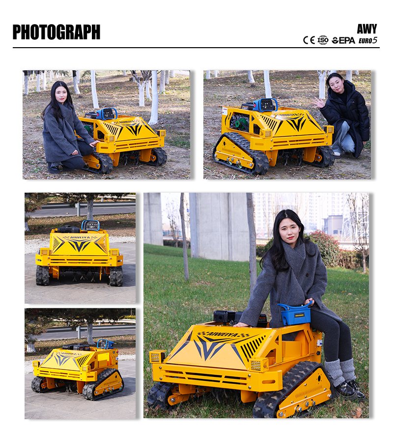 Außen-Grastrimmer AWY-550H.jpg