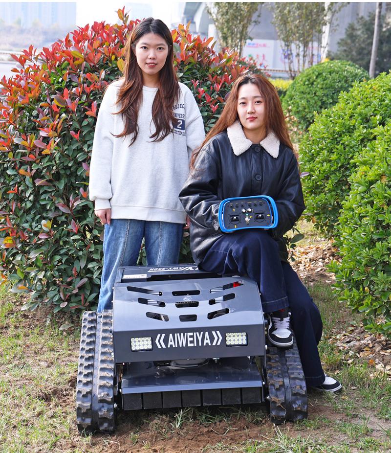 Газонокосилка Top Lawn Mower AWY-550H.jpg