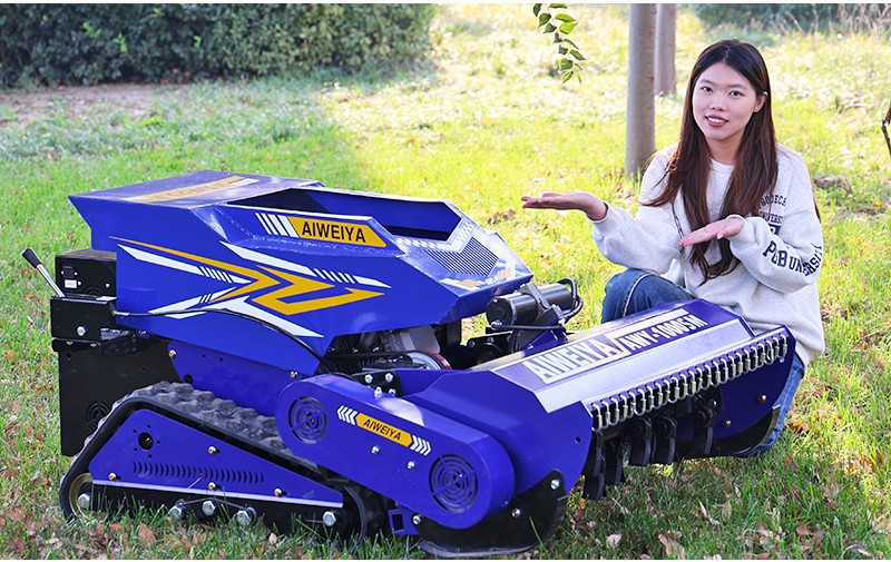 صورة جزازة العشب ذات المروحية AWY 1000SM.jpg