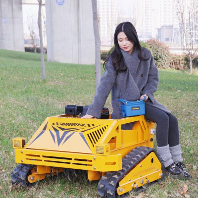 Broyeur à fléaux AWY-550S