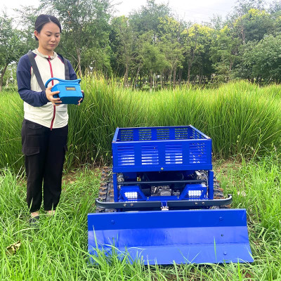 AWY-550 z bagażnikiem Sonw