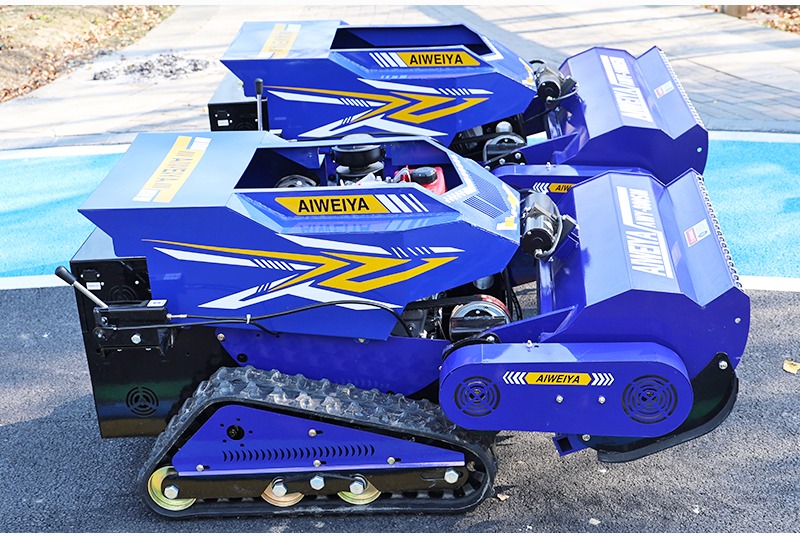 Diesel-Schlegelmäher AMY 800-SM.jpg